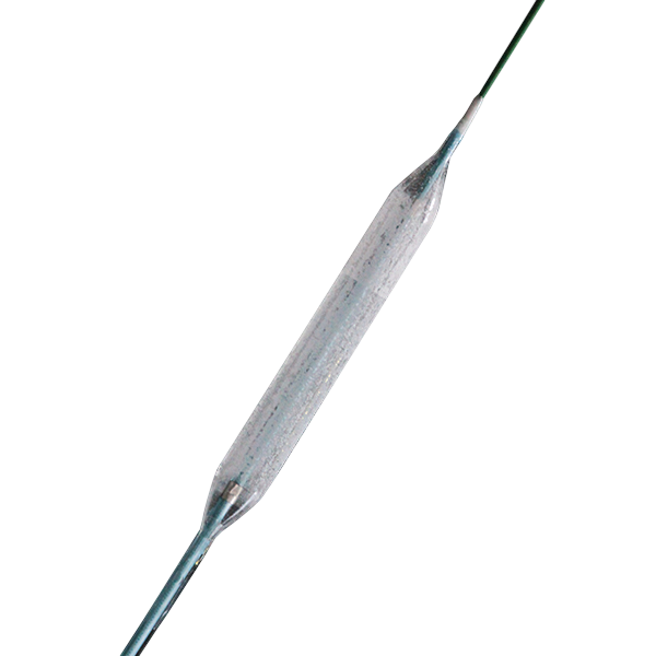 EverFlow® Paclitaxel Coated PTCA Balloon Catheter